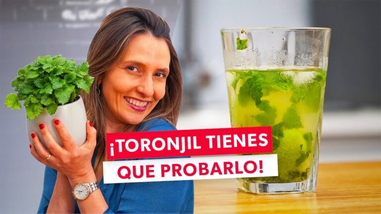 Esencia De Toronjil Para Que Sirve