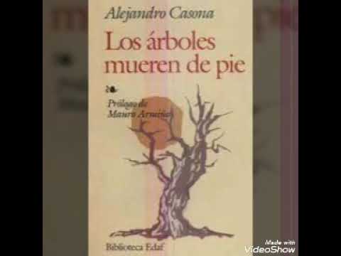 frases de los arboles mueren de pie