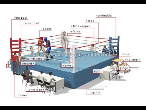 medidas de un ring de boxeo profesional