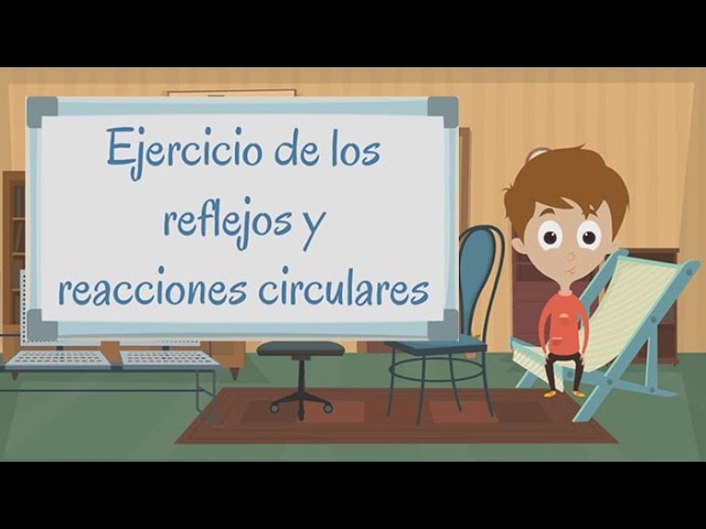 reaccion circular primaria secundaria y terciaria