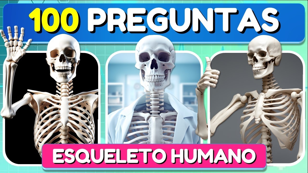 100 preguntas sobre el sistema óseo
