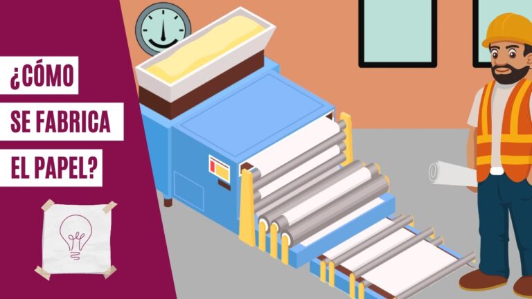 ¿Cuántos árboles se necesitan para hacer un cuaderno de 100 hojas