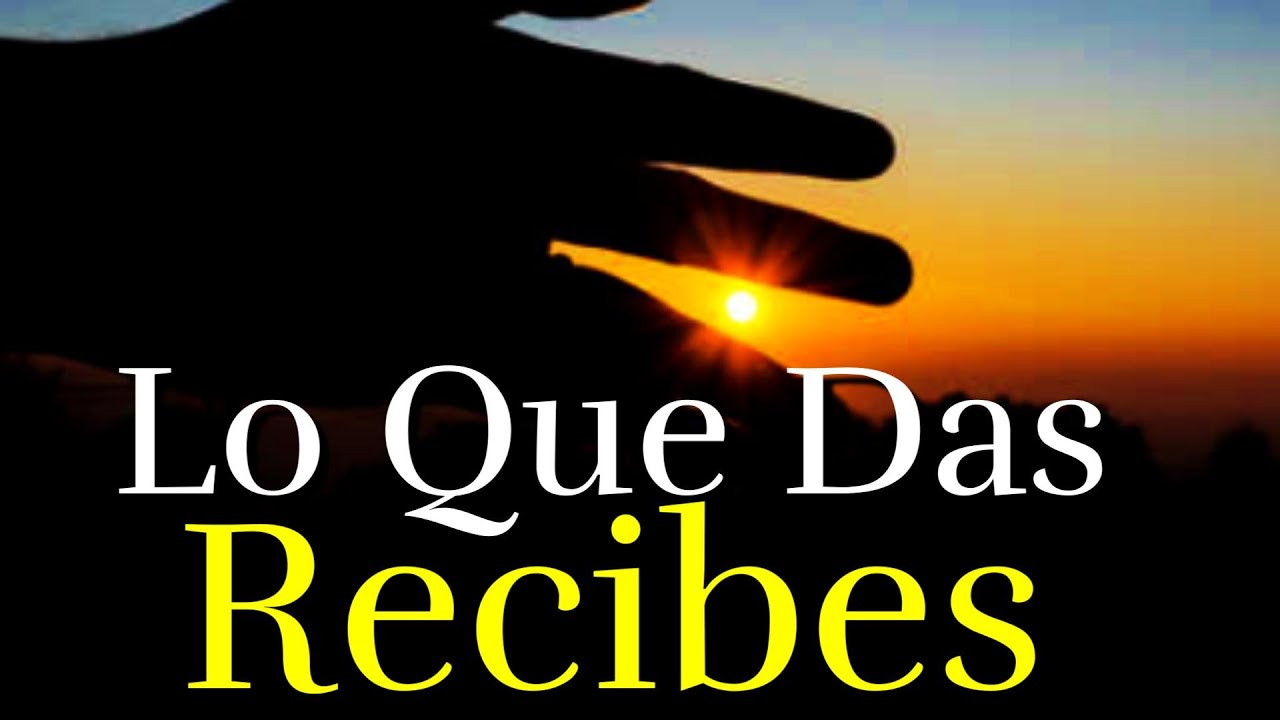 frases de lo que siembras cosechas