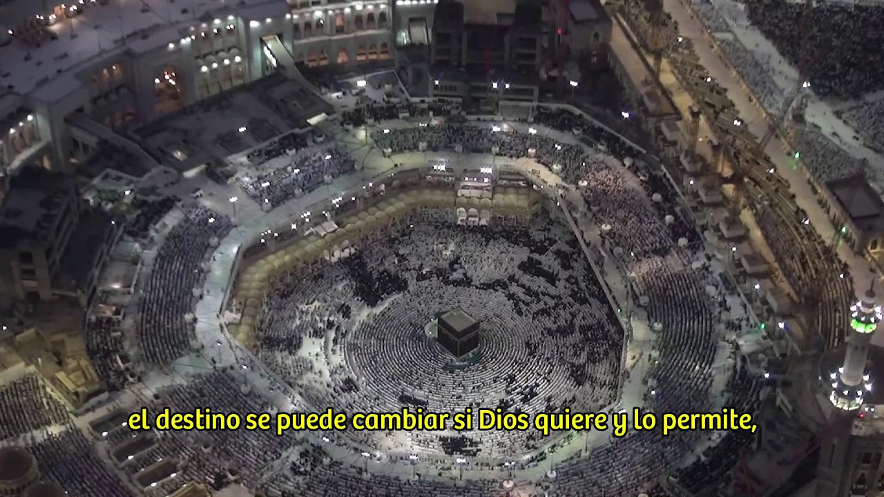 frases del coran sobre el destino