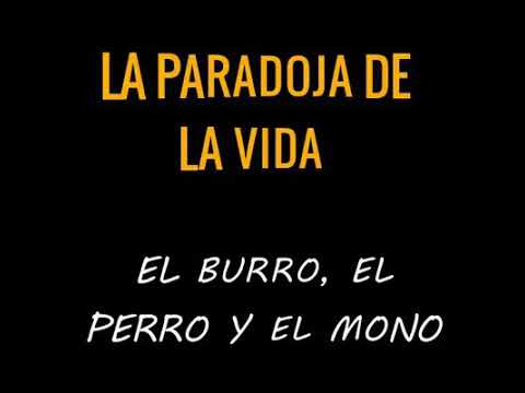 frases sobre la creacion del hombre