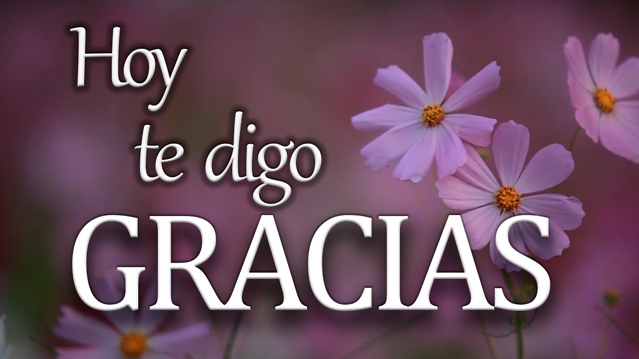 gracias por ser mi amigo frases