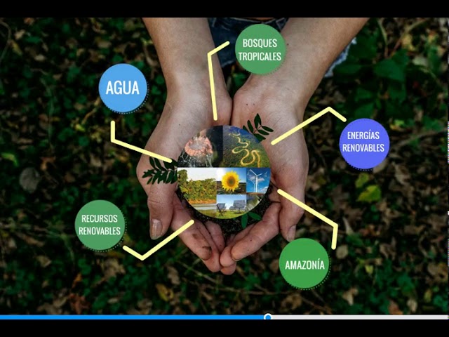 mapa mental de los recursos naturales