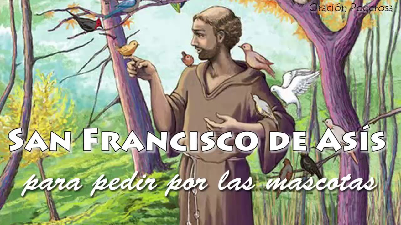oración de san francisco de asís para los animales muertos