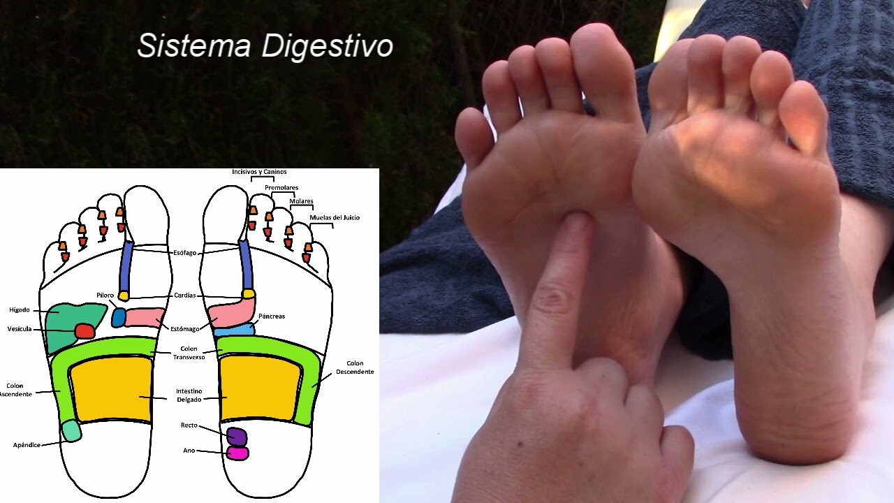 partes del pie que representan el cuerpo