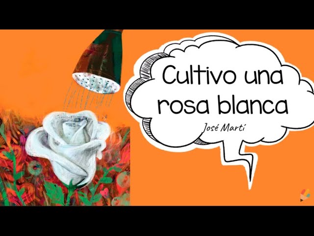 poemas cortos cultivo una rosa blanca