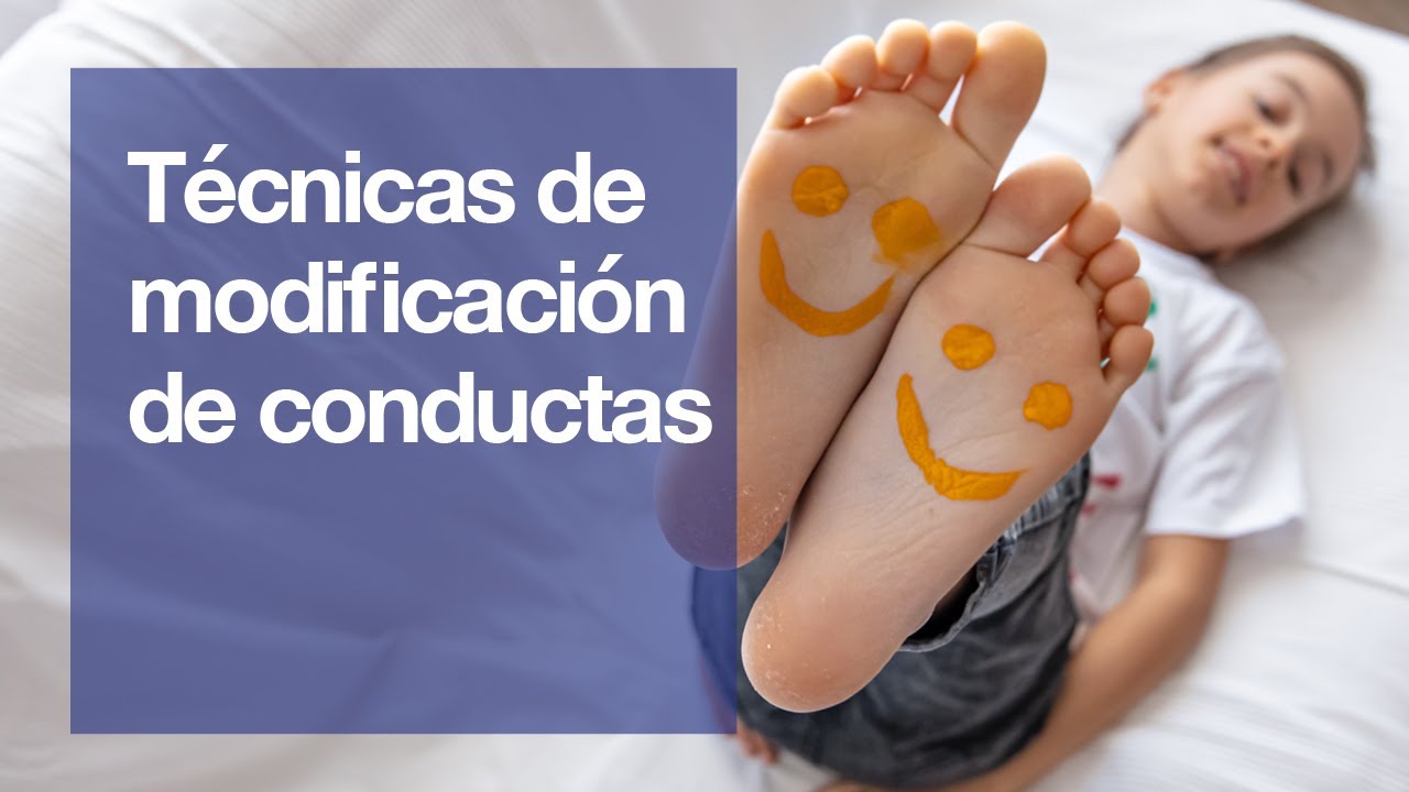 programa de modificacion de conducta ejemplo