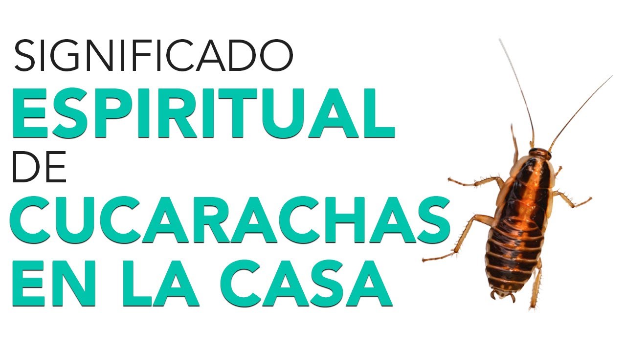 que significa que una cucaracha se te suba