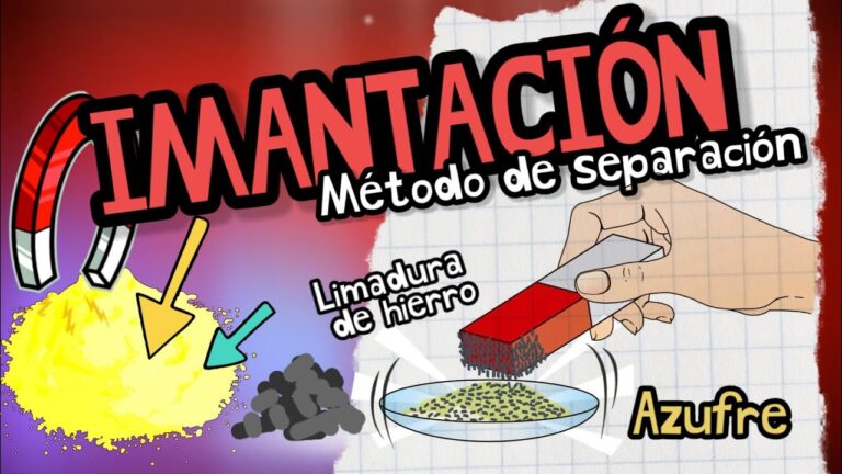Separación Magnética: Ejemplos Cotidianos que Transforman Nuestro Día a