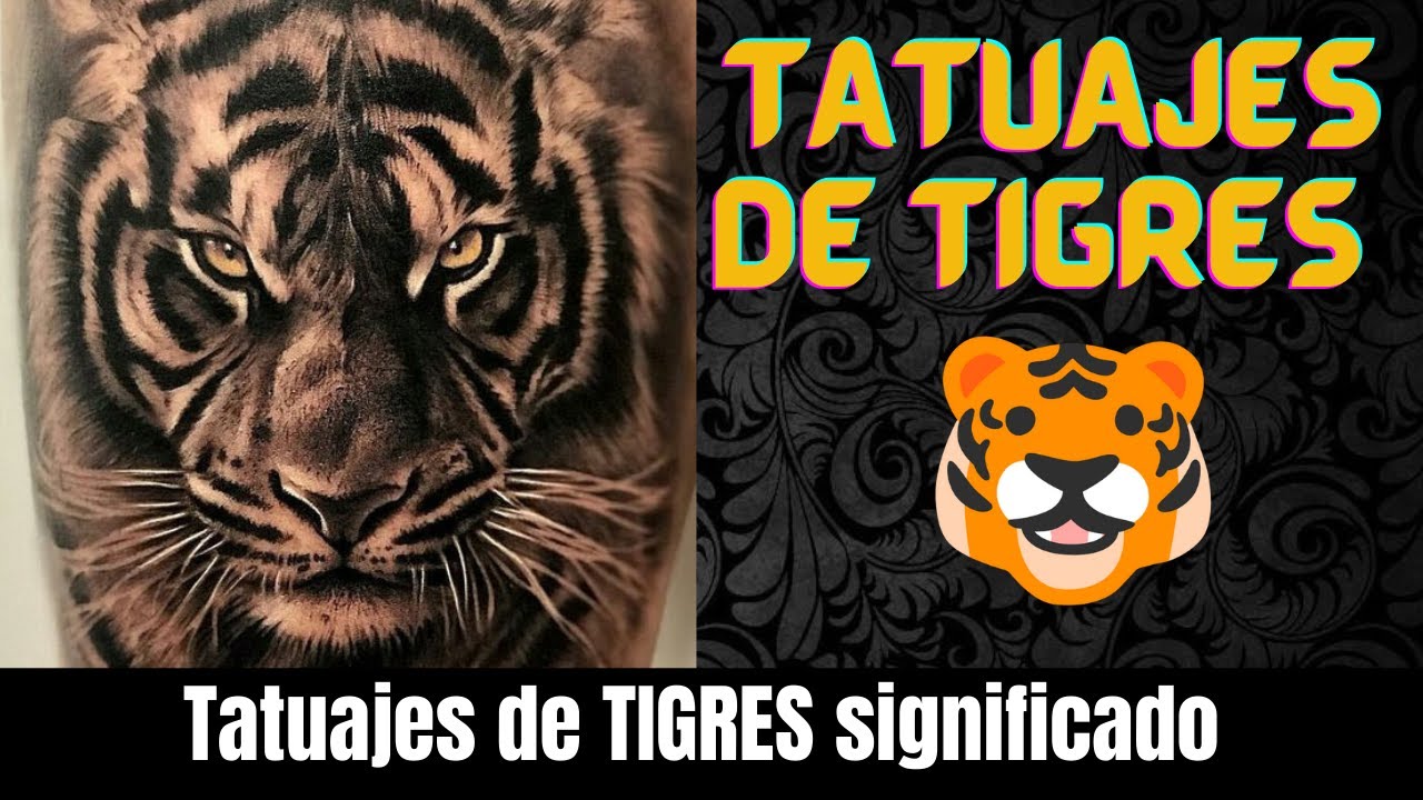 tatuajes de tigres en el pecho