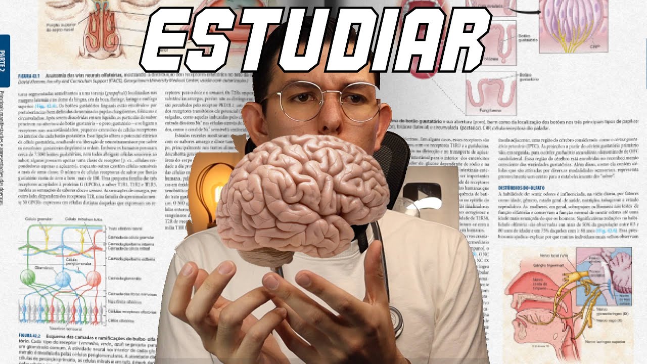 tecnicas de estudio para examenes de desarrollo