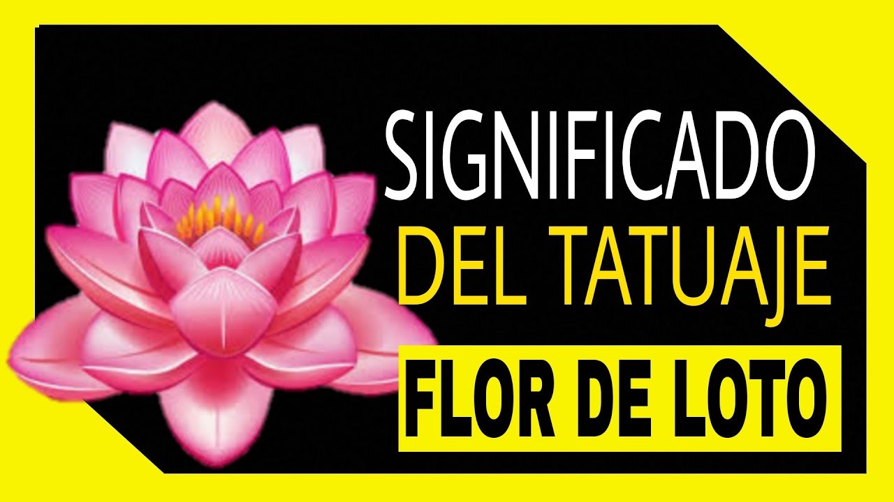 brazo antebrazo flor de loto tatuaje mujer
