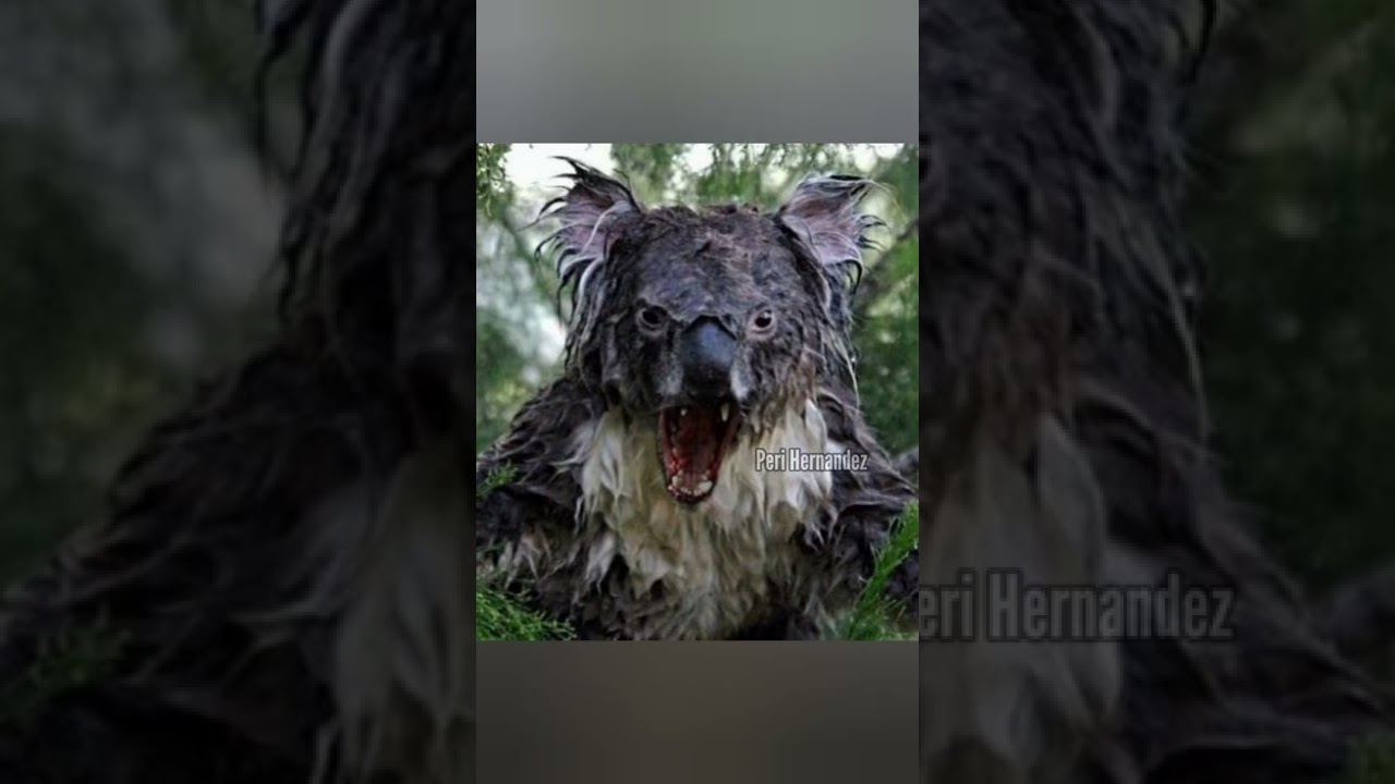 como se llama el miedo a los animales