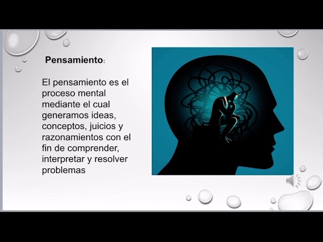 estudio diferencial de la inteligencia y los procesos cognitivos