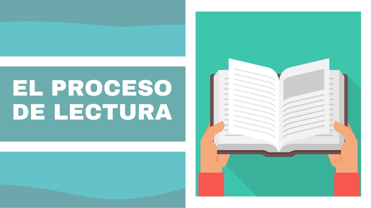 etapas del proceso de lectura ejemplos