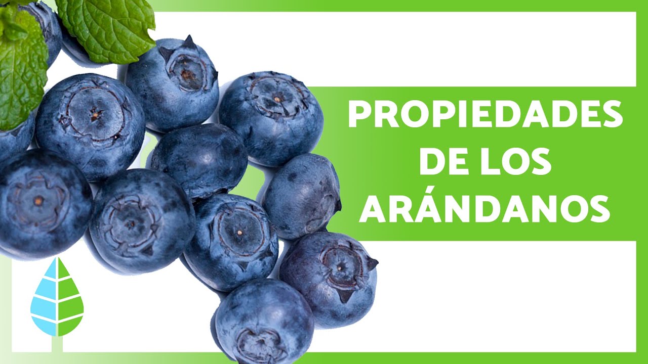 extracto de arandano para la piel