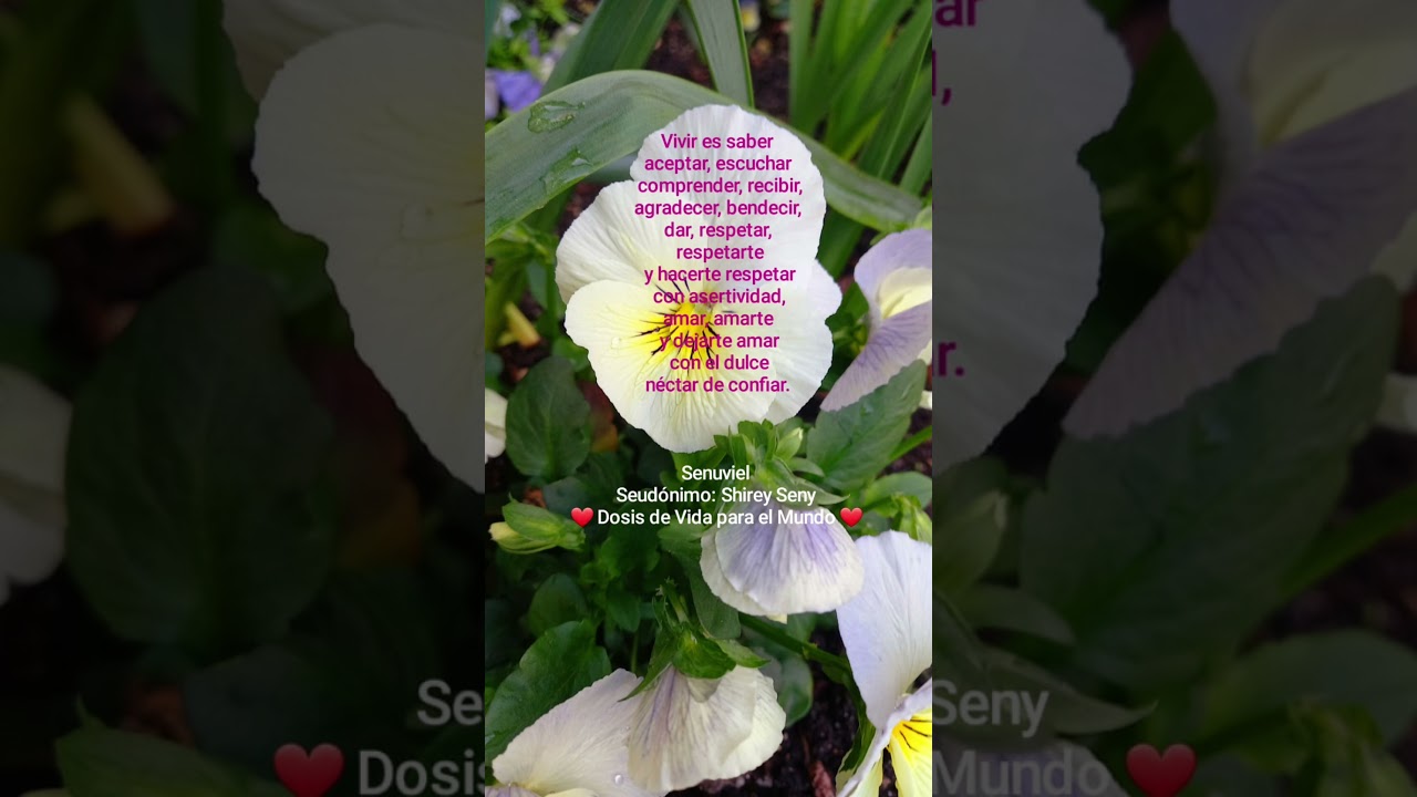 imagenes de angeles con frases de amor y movimiento