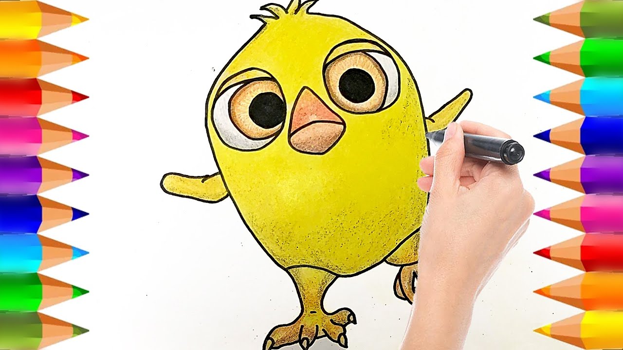 imagenes del pollito pio para colorear