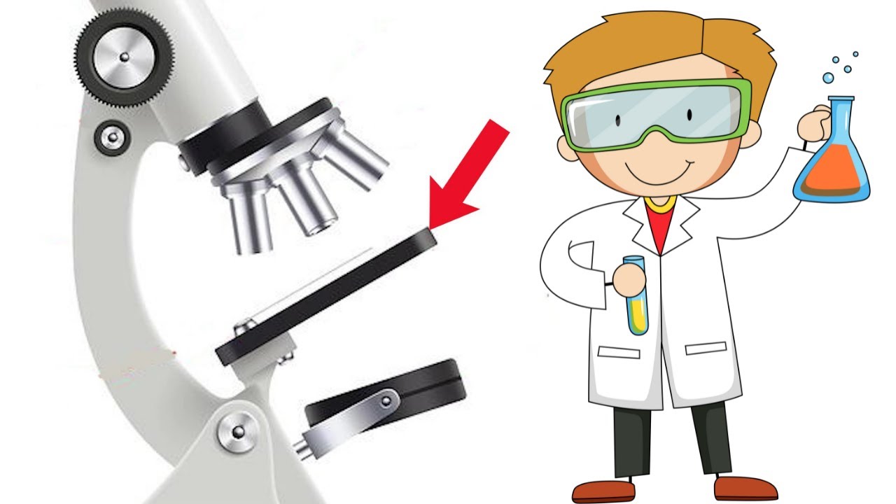 para que sirve el diafragma del microscopio