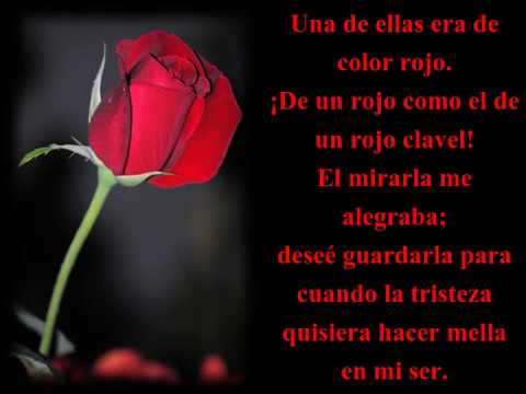 poemas de rosas cortos con rima