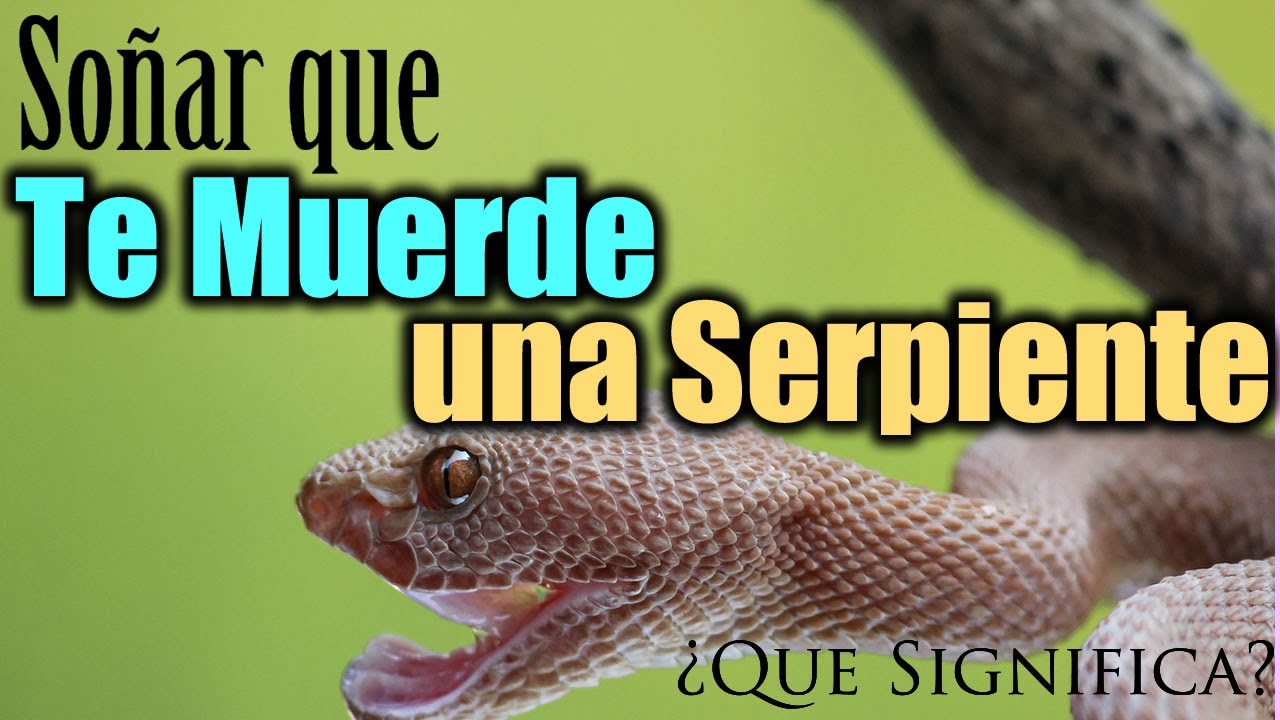 que significa soñar con serpientes que te muerden los pies