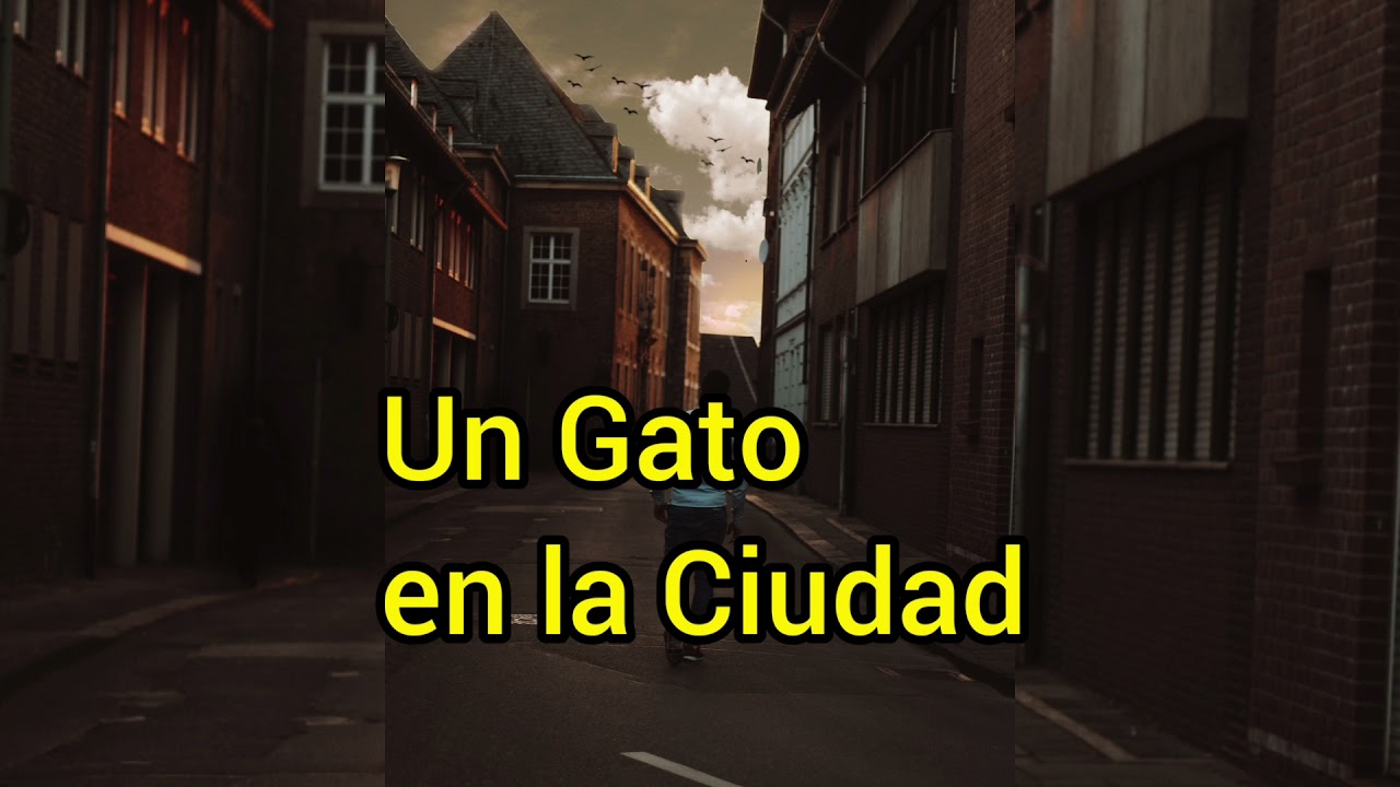 un gato en la ciudad letra