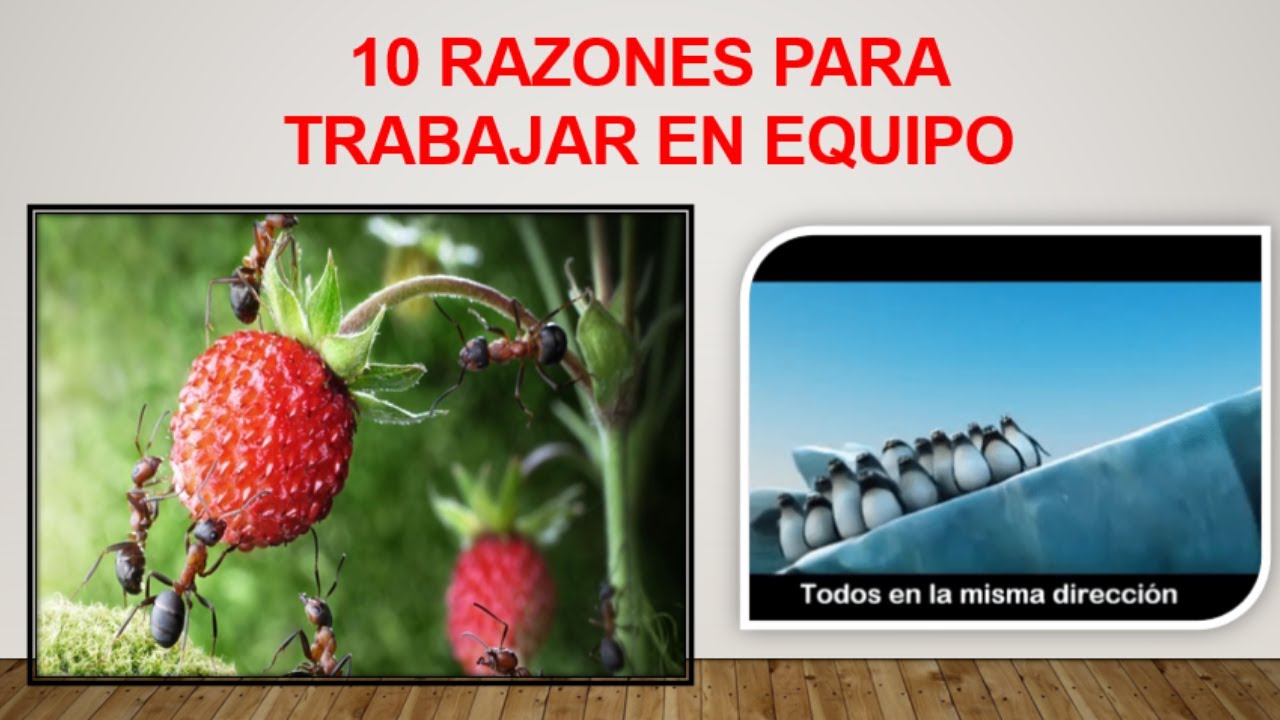 10 caracteristicas del trabajo en equipo