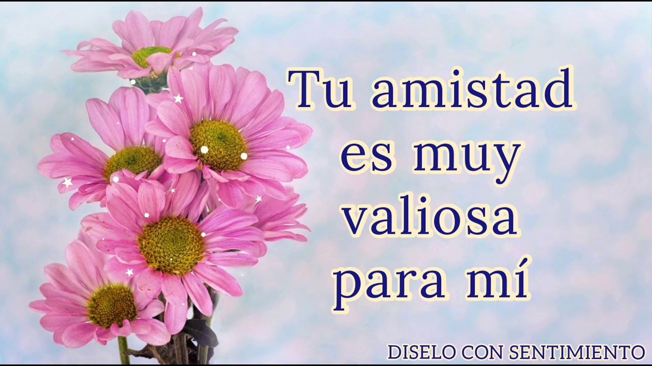 carta para una amiga que casi no le hablo