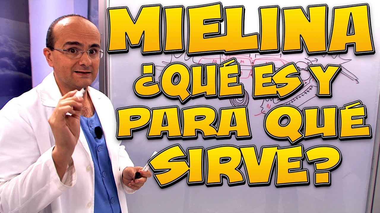 como producir mielina en el cuerpo