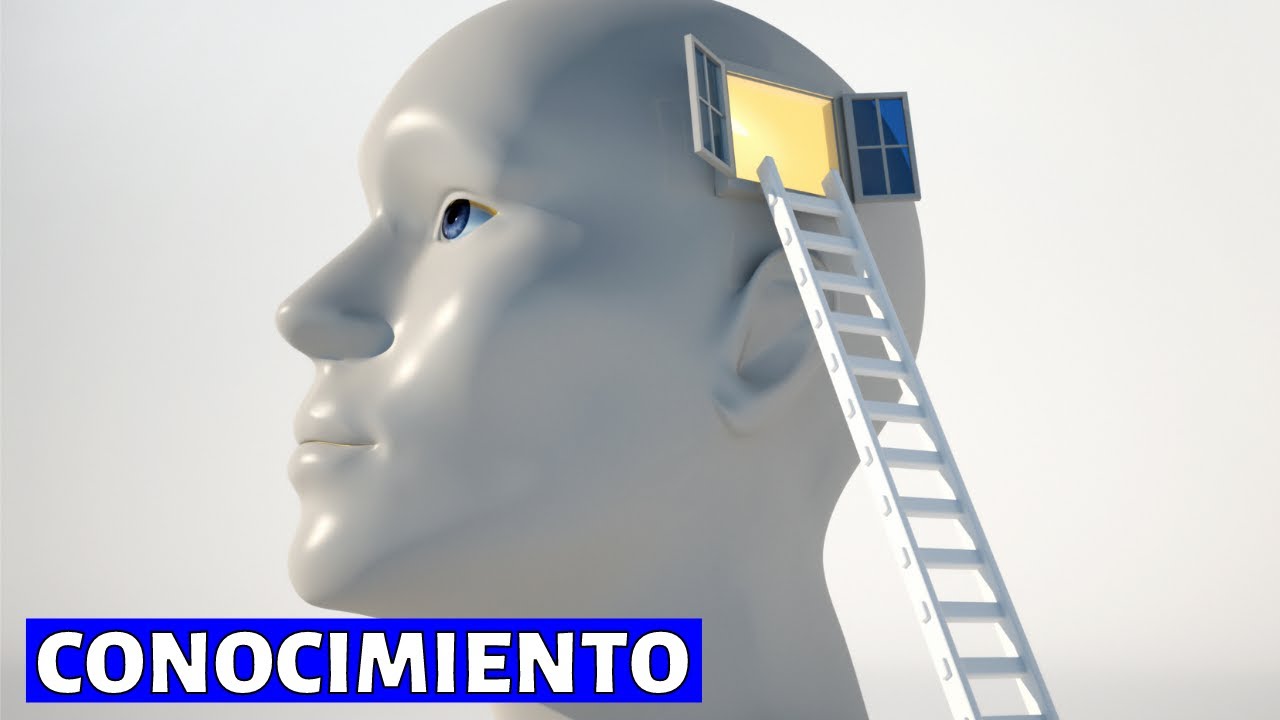 cual es el proceso de conocimiento