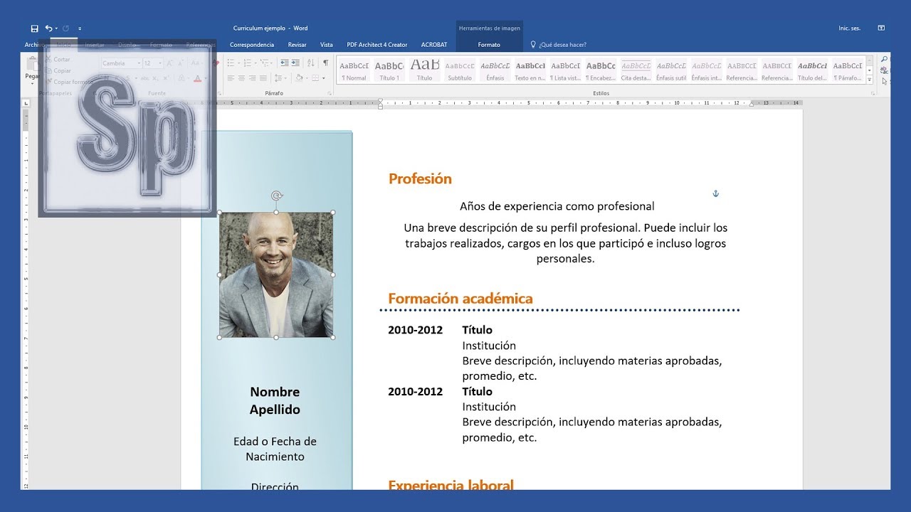 curriculum para copiar y pegar en word