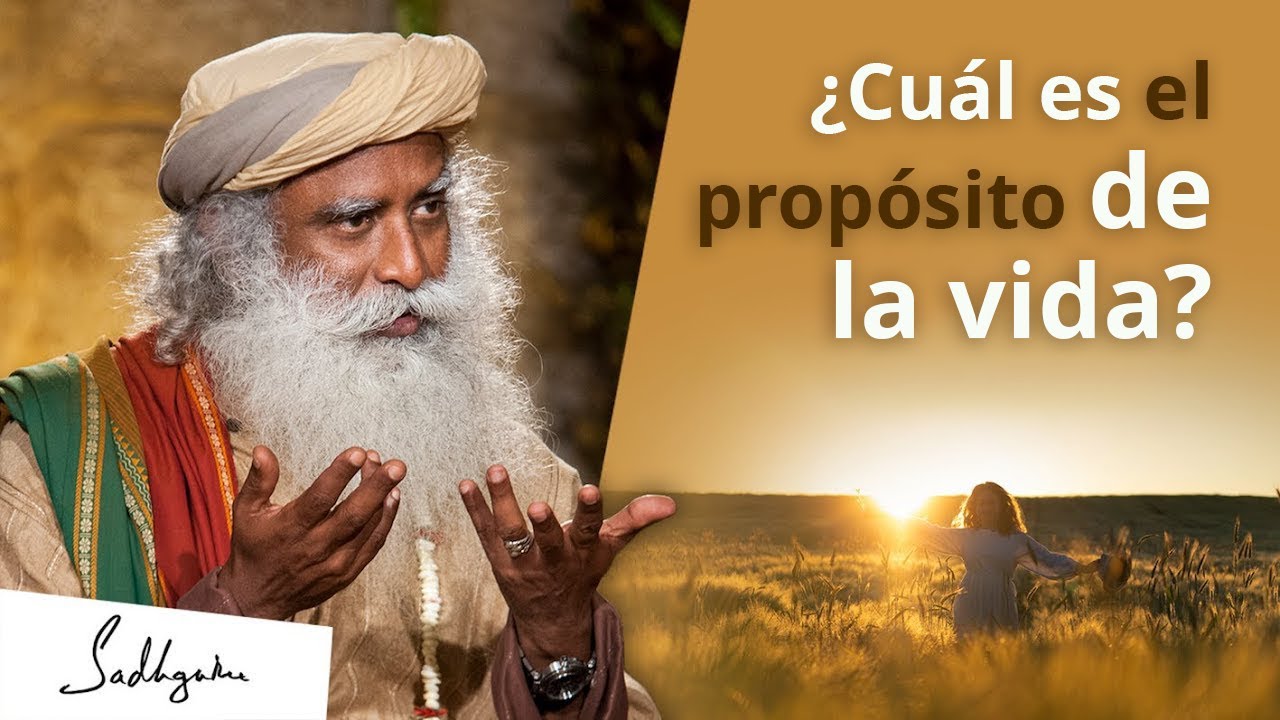 ejemplos de propositos en la vida