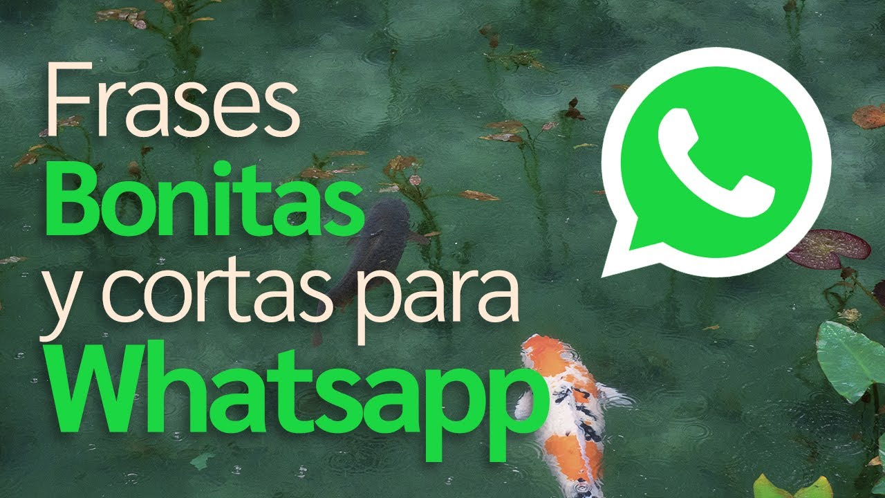 imágenes de reflexión de amor para whatsapp