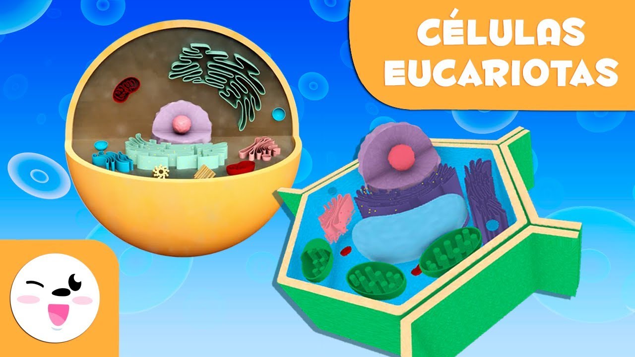 juegos de celulas animales y vegetales