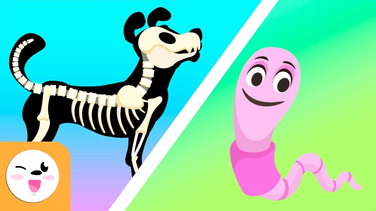 los animales para tercero de primaria