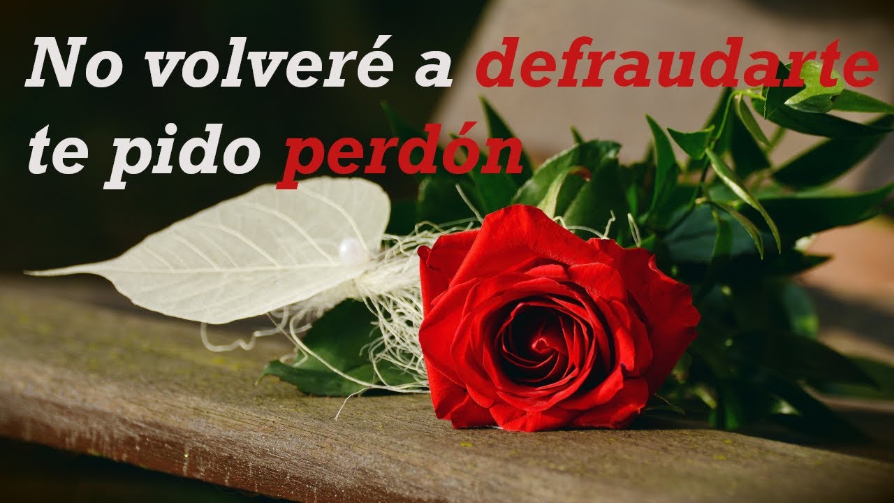 poemas para pedir perdon a una novia
