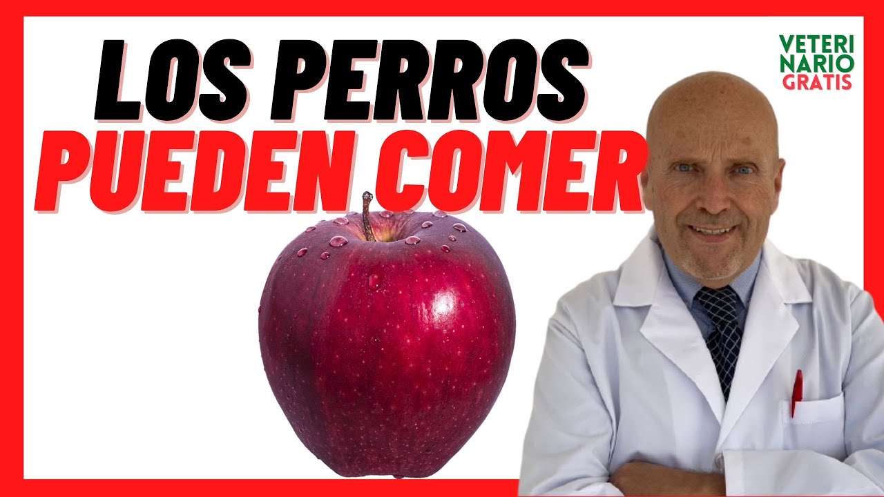 que hago si mi perro comio semillas de manzana