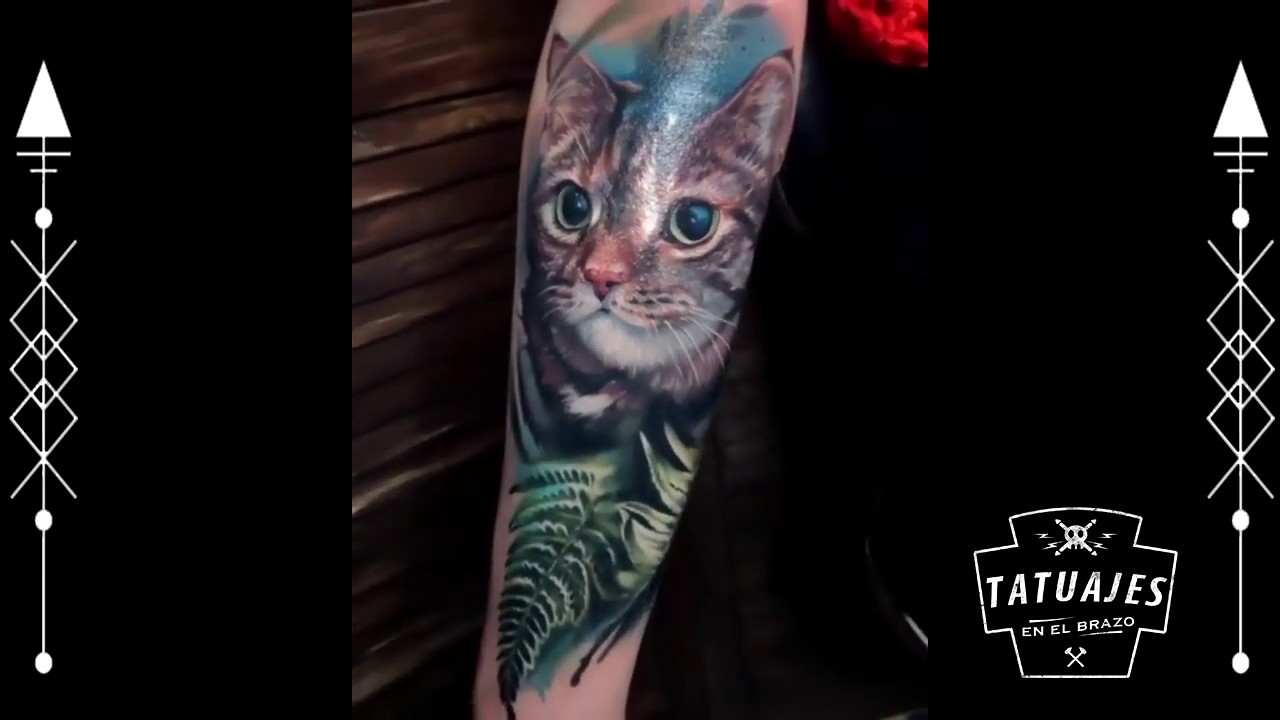 tatuajes de gatos para mujeres en el brazo
