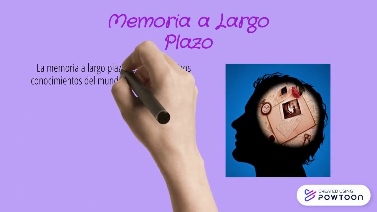 teorias y autores de la memoria