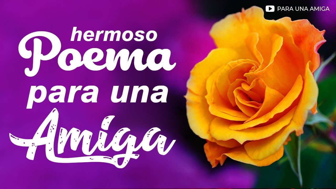 carta de feliz cumpleaños para una amiga que recien conoces