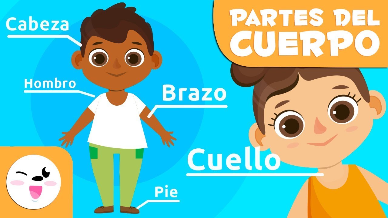 fichas del cuerpo humano para niños