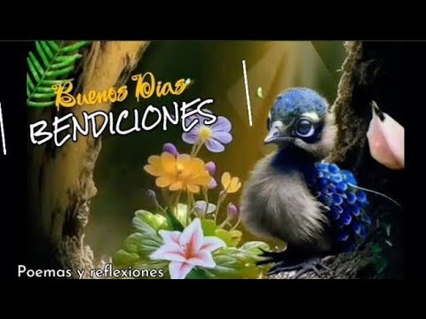 imágenes de paisajes de buenos dias con movimiento