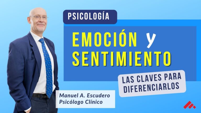 Las Emociones Y Sus Categorias Ensayo
