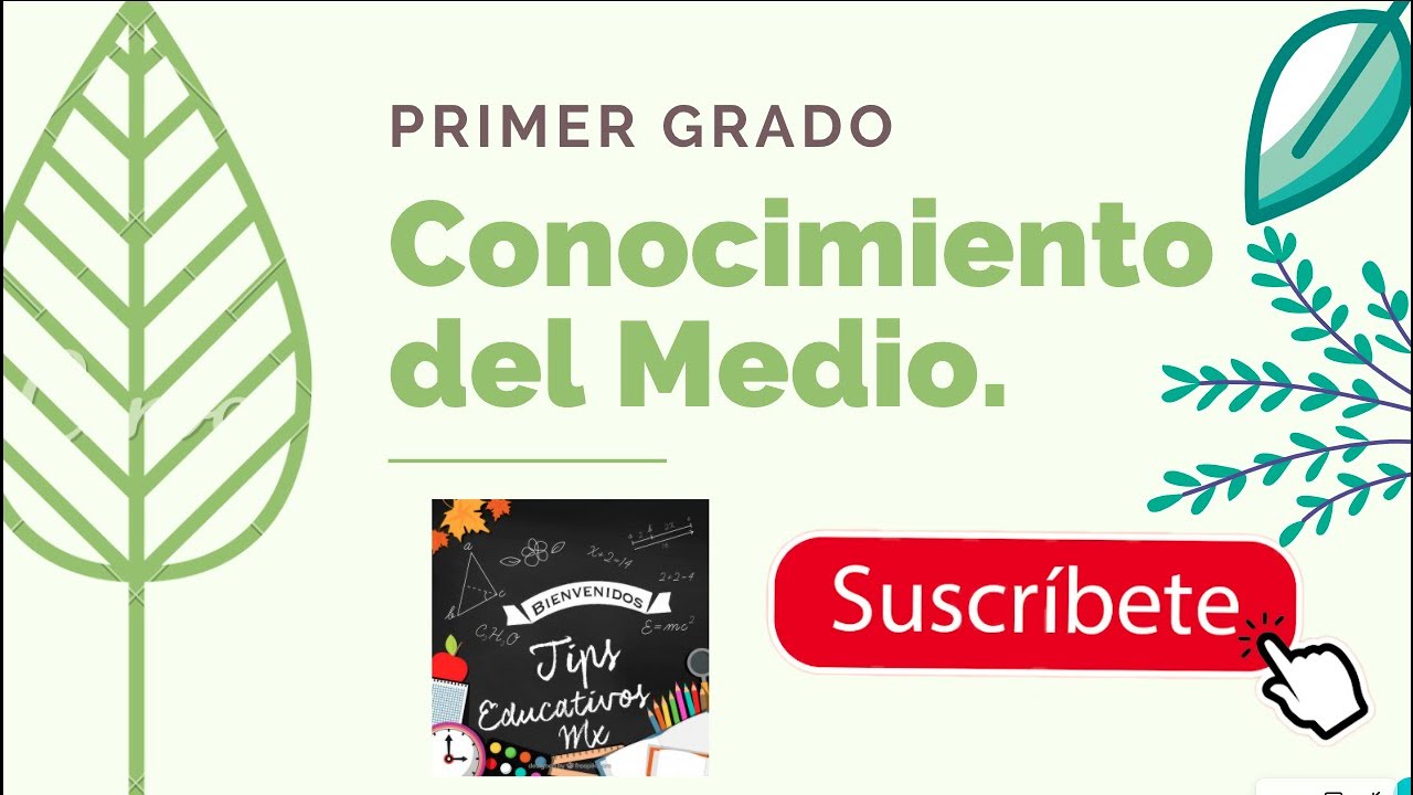 conocimiento del medio de primer grado
