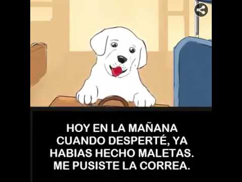 eres responsable para siempre de lo que has domesticado
