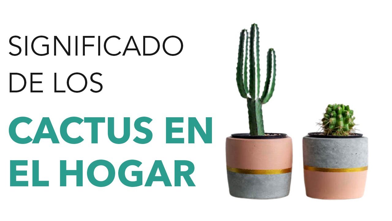 significado de los cactus en la biblia
